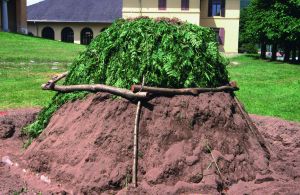 Ricostruzione di carbonera dimostrativa in Valle Vigezzo